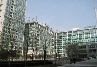 广西伺服油缸费用