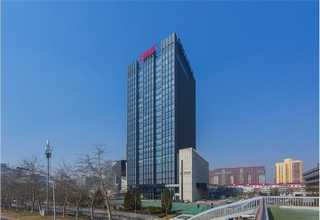 上海pei转染试剂梯度