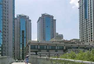 广东蒜香调味粉每瓶多少钱